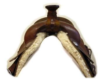 Used Saddle Roping