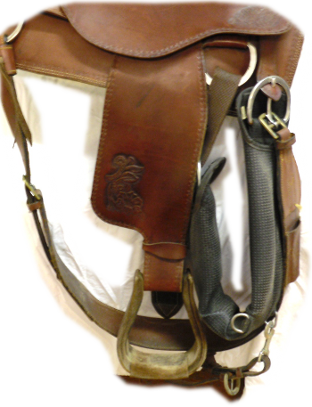 Used Roping Saddle