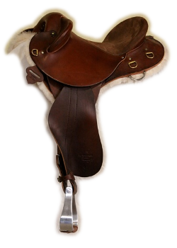 Half breed Saddle Std Half breed Saddle Std